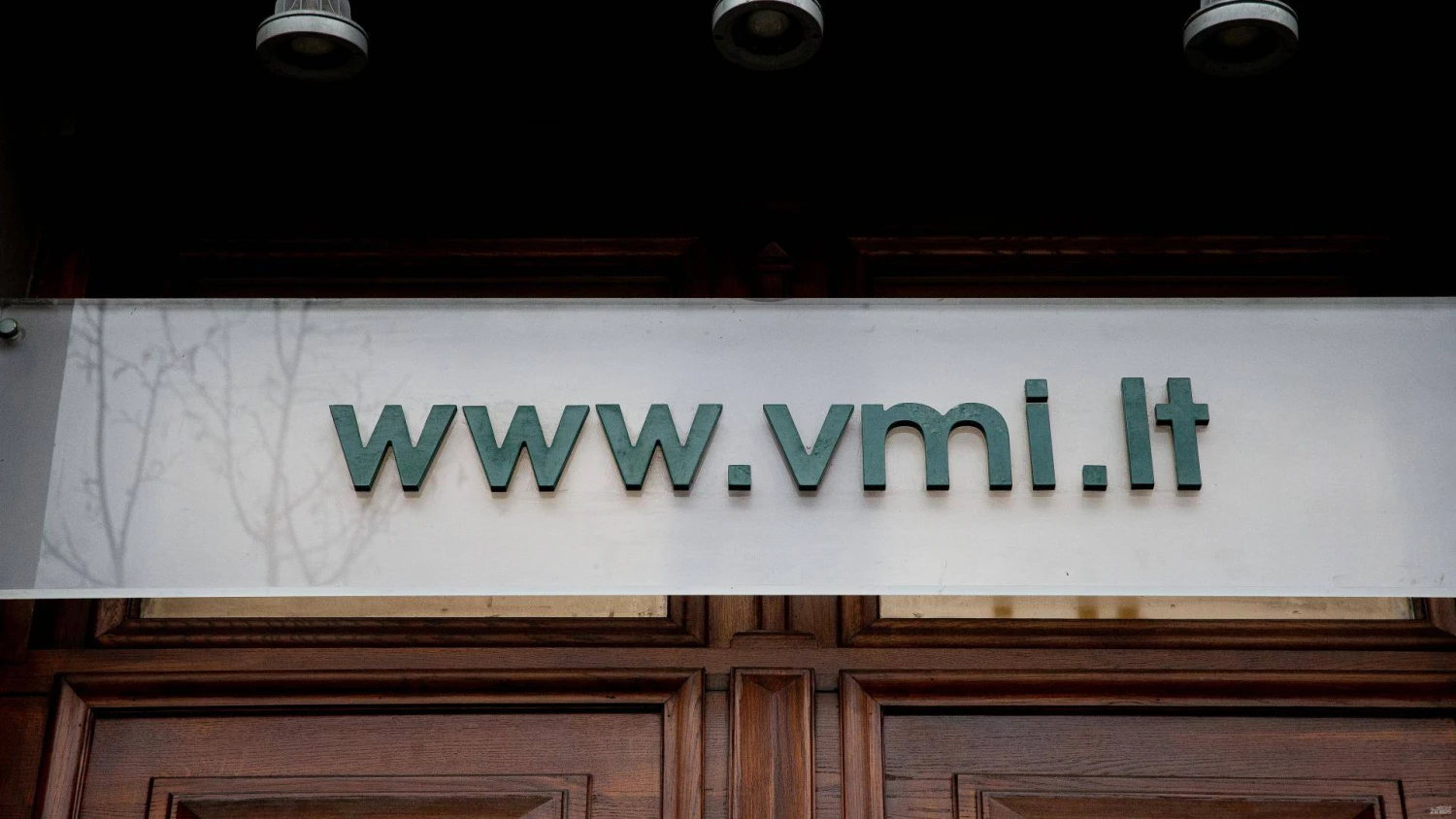 Vladimiro Ivanovo (VŽ) nuotr.