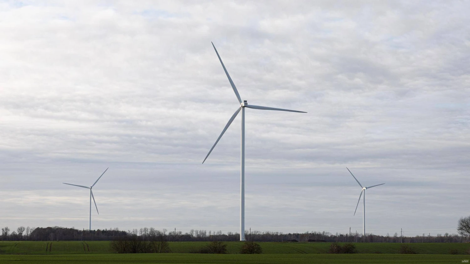 Juditos Grigelytės (VŽ) nuotr.