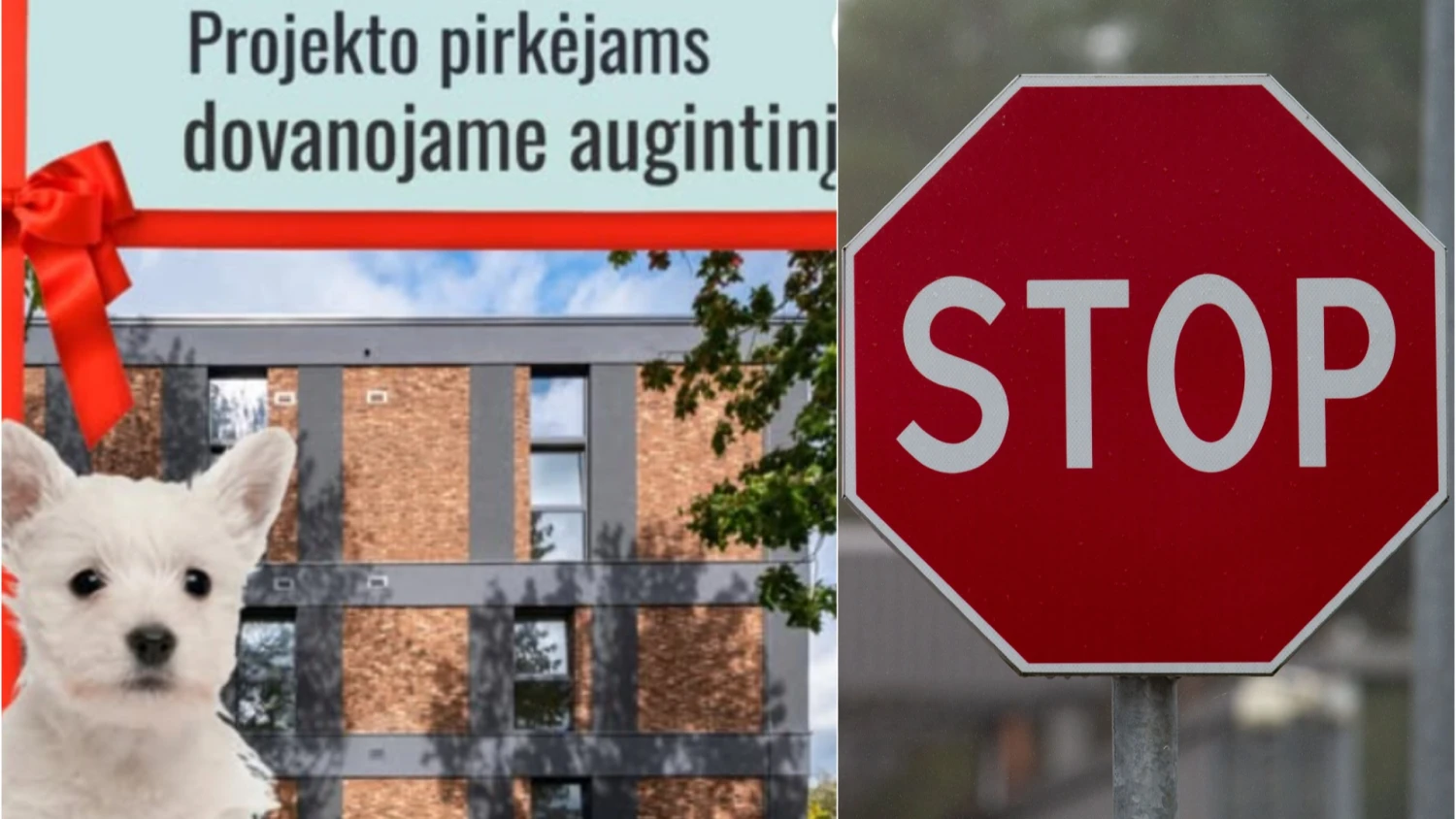 VŽ koliažas.