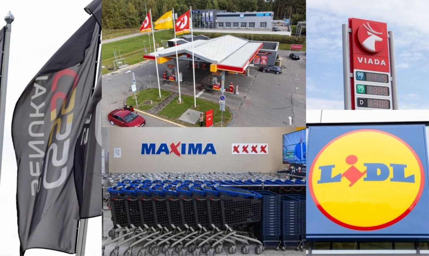 Vladimiro Ivanovo ir Juditos Grigelytės (VŽ) nuotr. VŽ koliažas