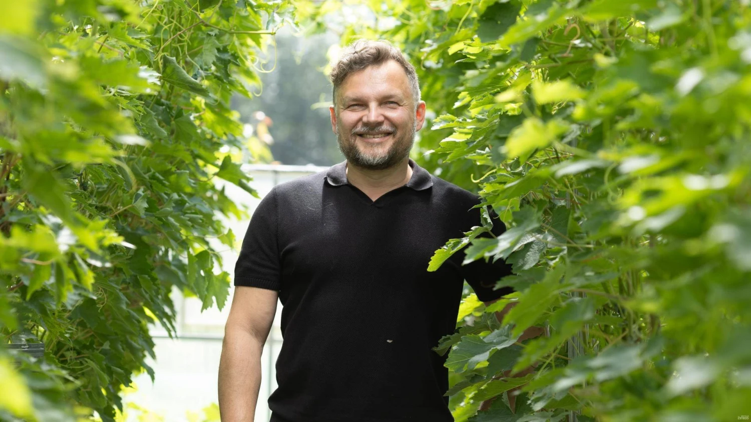 Andrius Diliautas, vynuogių augintojas, vyndarys, IĮ „Ekoflora“ vadovas. Juditos Grigelytės (VŽ) nuotr.