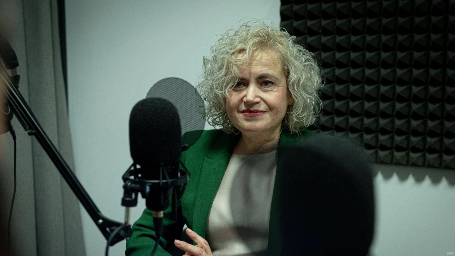 Diana Dominienė, investuotoja, verslo bei investicijų valdymo strategė. Vladimiro Ivanovo (VŽ) nuotr.