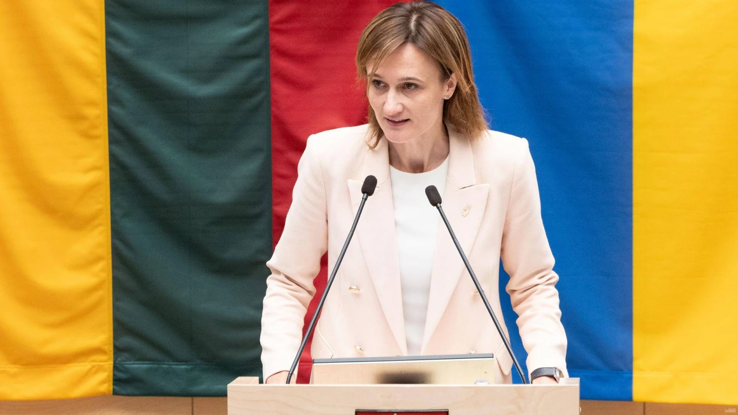 Viktorija Čmilytė-Nielsen, Liberalų sąjūdžio lyderė. Juditos Grigelytės (VŽ) nuotr.