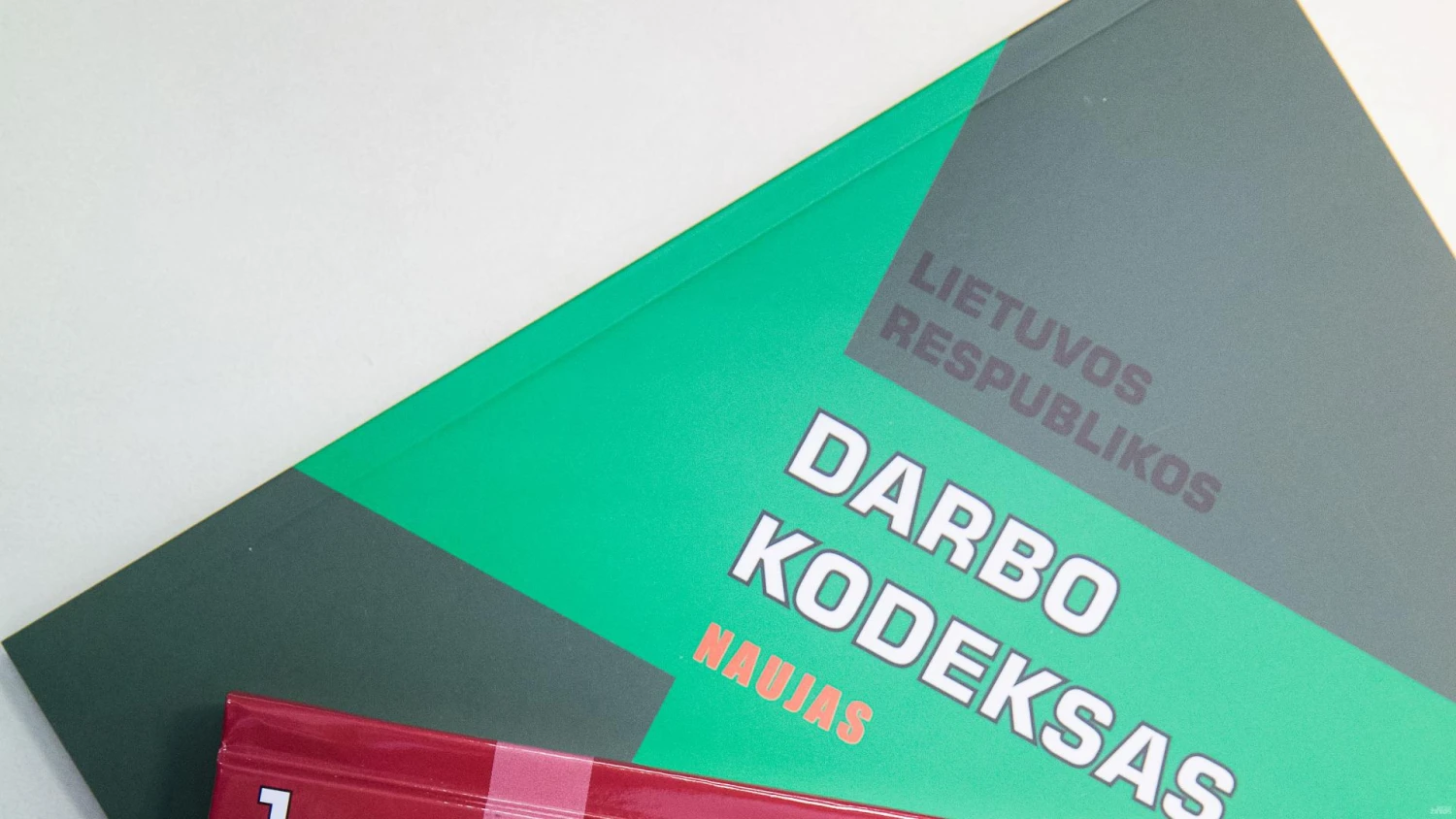 Vladimiro Ivanovo (VŽ) nuotr.