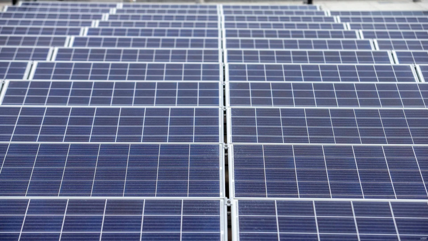 Juditos Grigelytės (VŽ) nuotr.