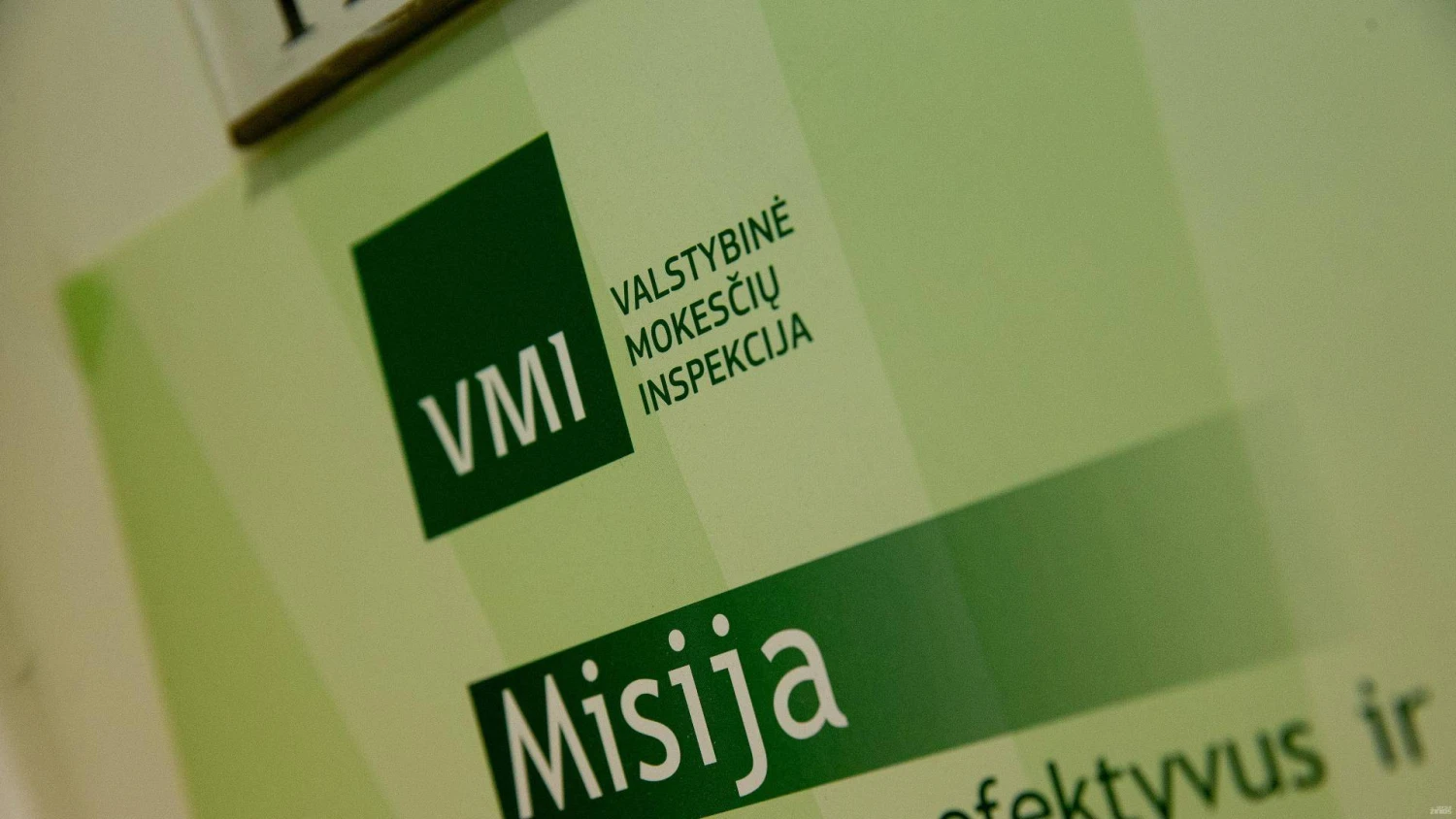 Vladimiro Ivanovo (VŽ) nuotr.