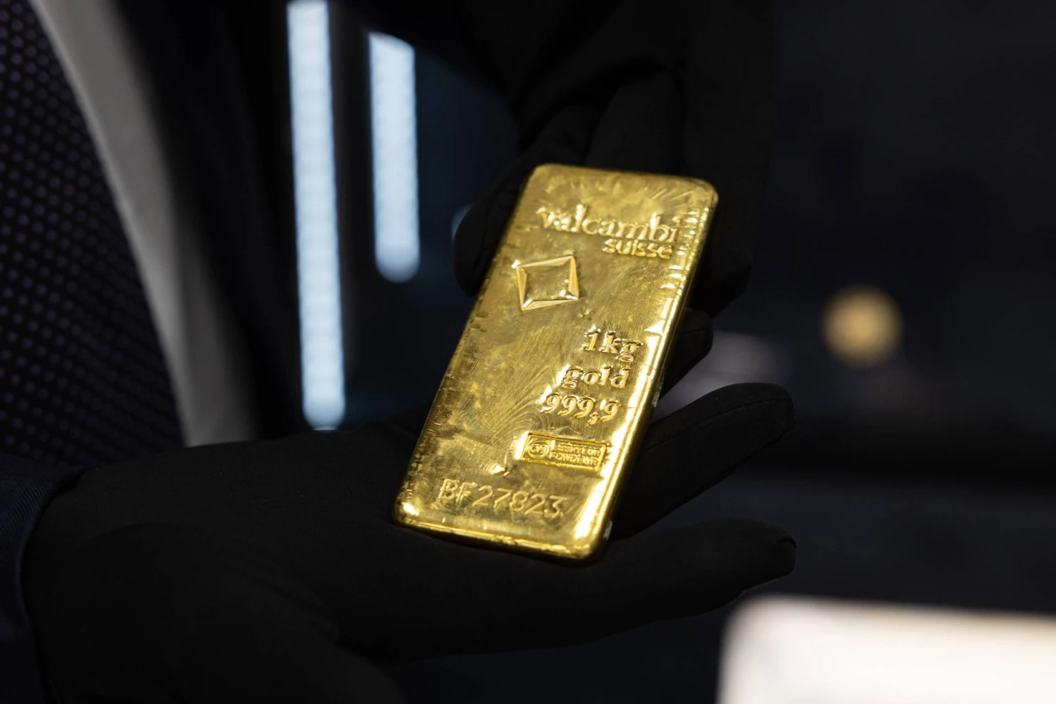 Vladimiro Ivanovo (VŽ) nuotr.