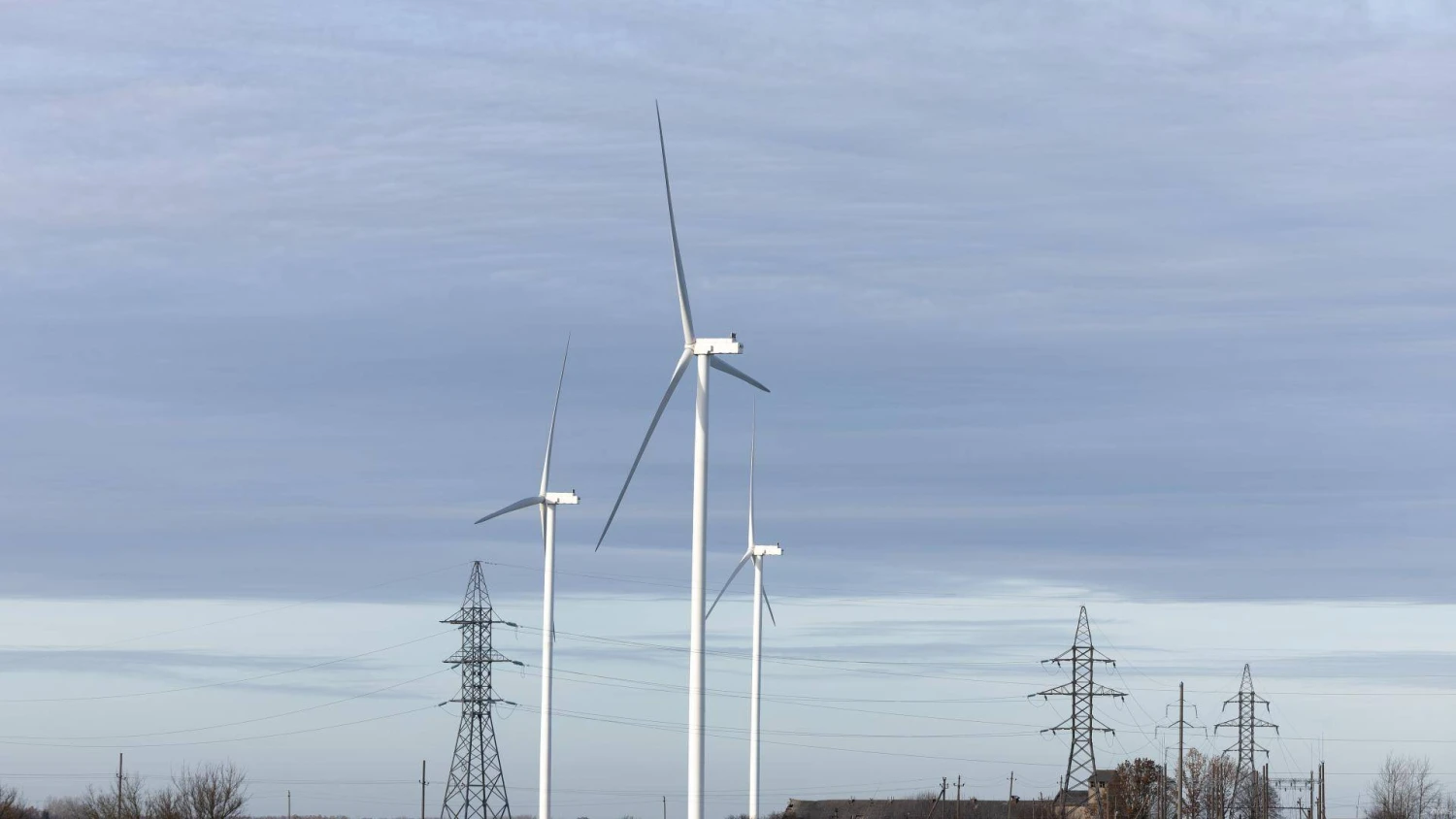 Juditos Grigelytės (VŽ) nuotr.