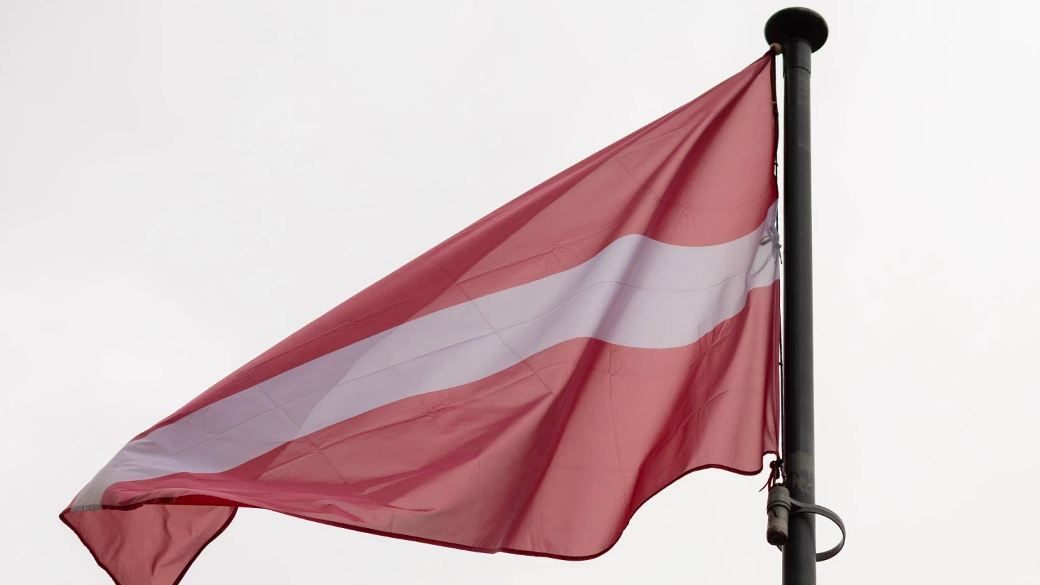 Juditos Grigelytės (VŽ) nuotr.