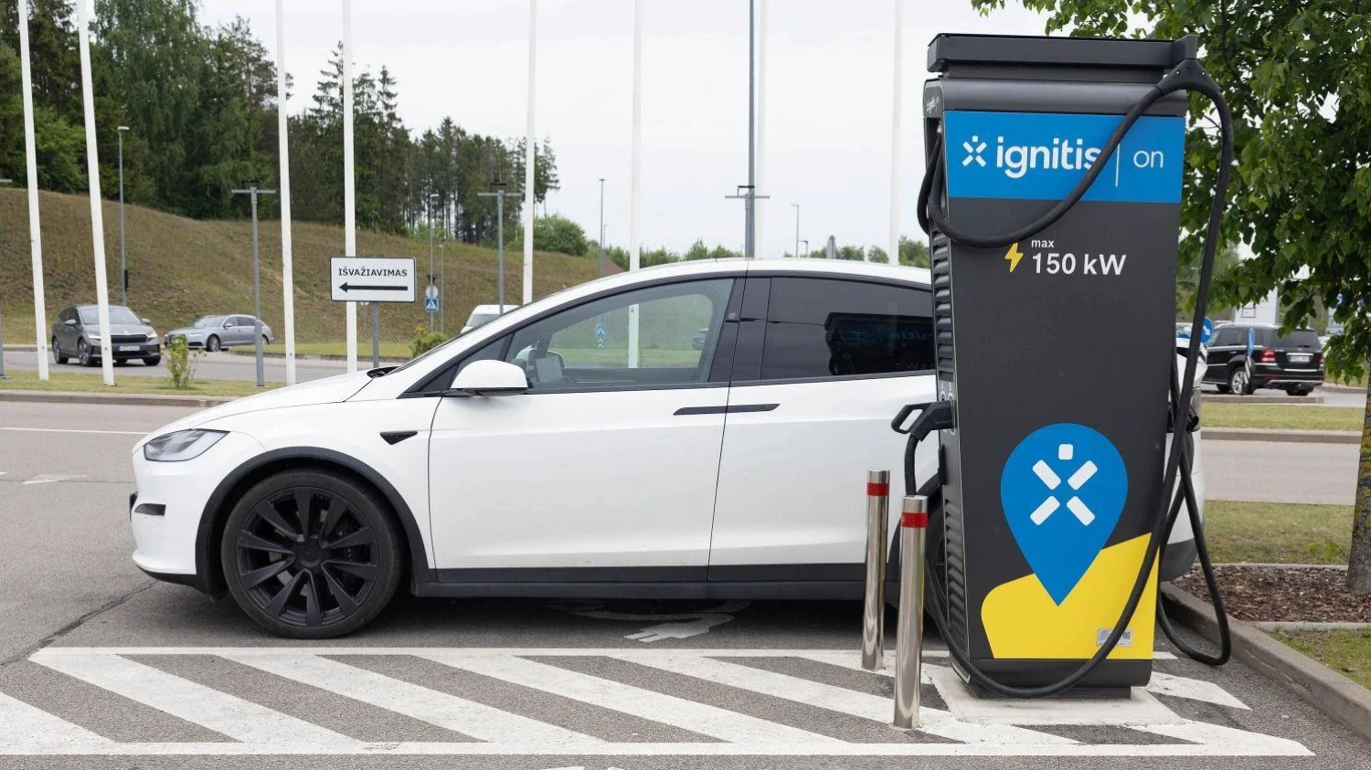 Juditos Grigelytės (VŽ) nuotr.