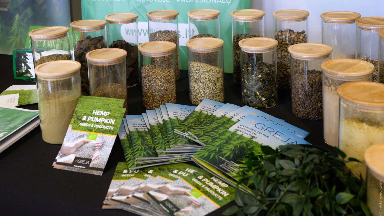 Jau šiandien Lietuvoje iš pluoštinių kanapių gaminami aukštos kokybės sertifikuoti ingredientai turi didelę paklausą pasaulyje, o strateginis statusas sustiprintų Lietuvos kaip patikimos kilmės šalies reputaciją.