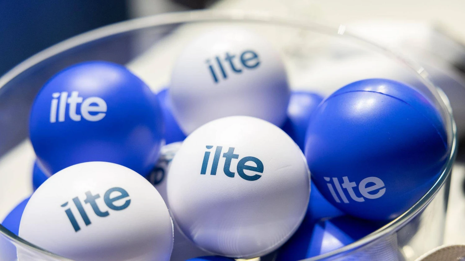 Juditos Grigelytės (VŽ) nuotr.