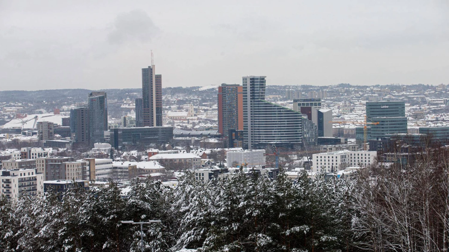 Juditos Grigelytės (VŽ) nuotr.