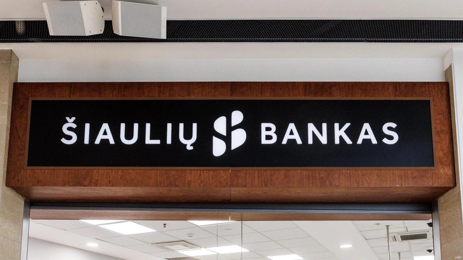 Vladimiro Ivanovo (VŽ) nuotr.