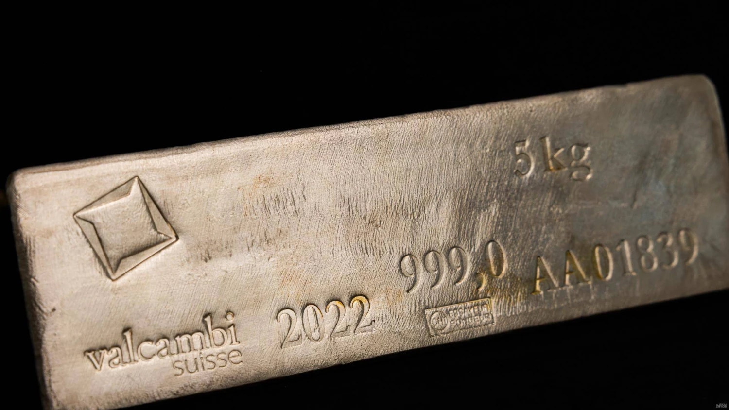 Vladimiro Ivanovo (VŽ) nuotr.