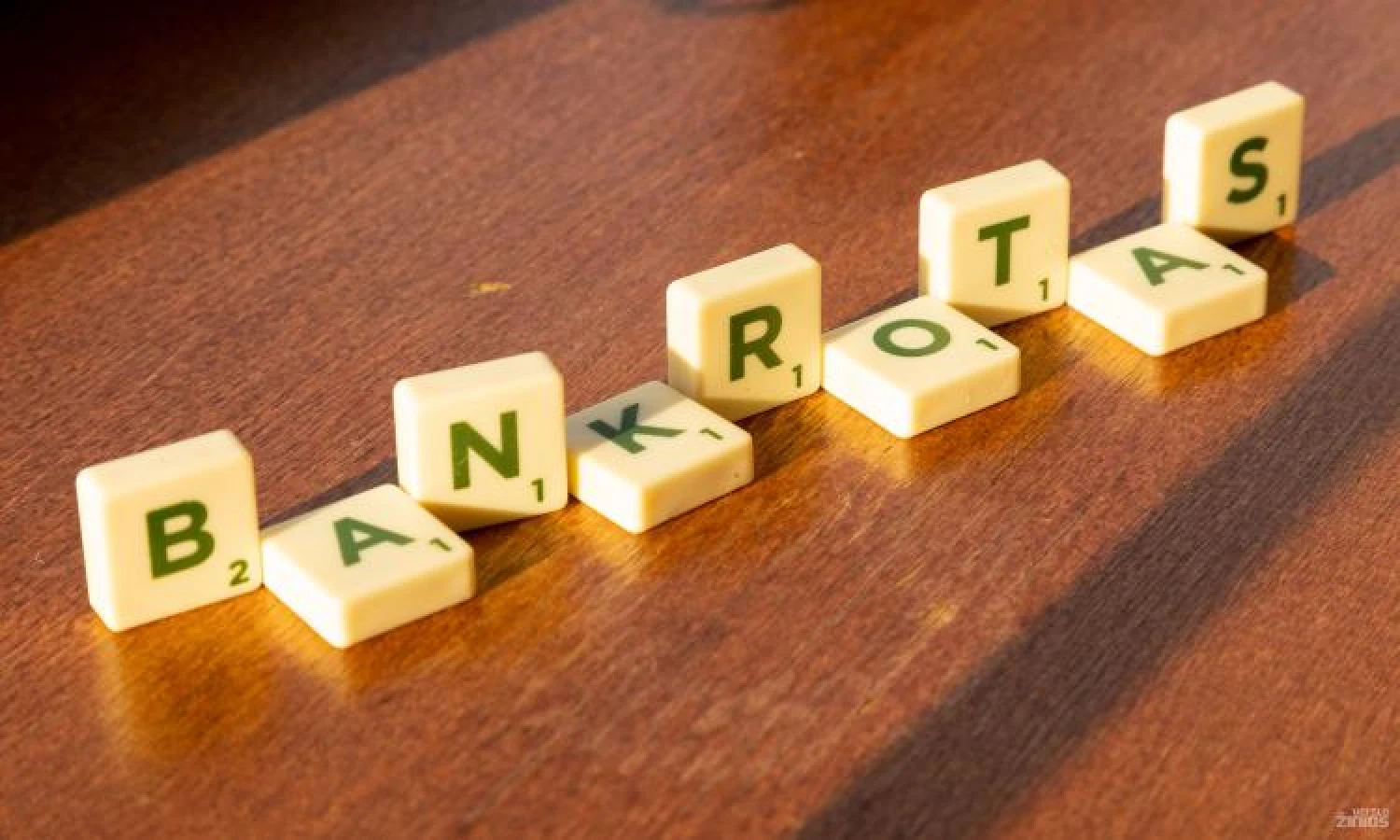  Vladimiro Ivanovo (VŽ) nuotr.