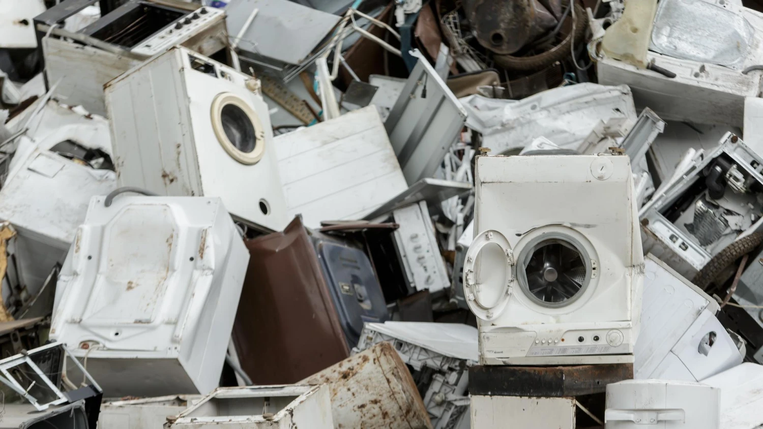 Vladimiro Ivanovo (VŽ) nuotr.