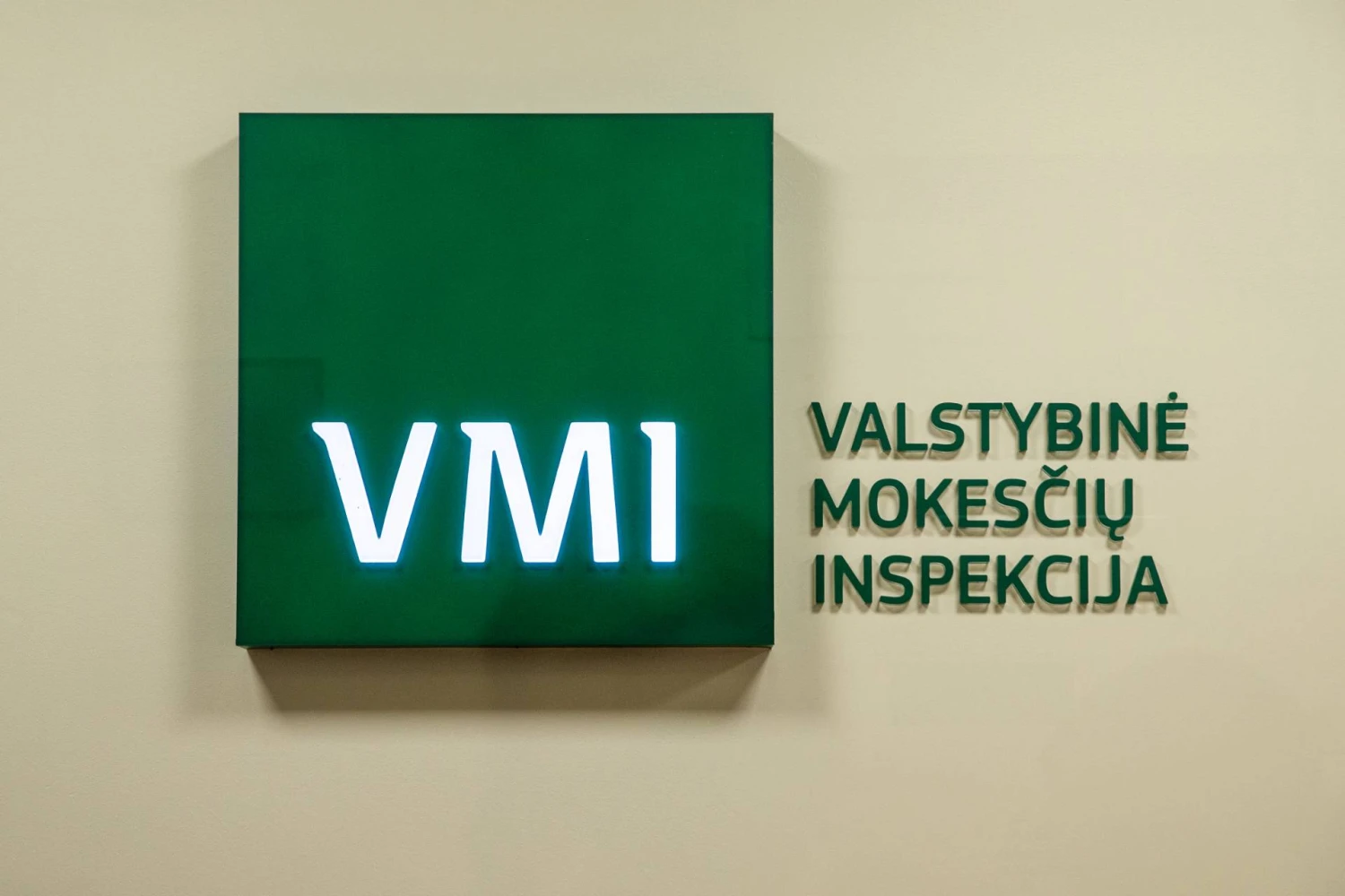 Vladimiro Ivanovo (VŽ) nuotr.