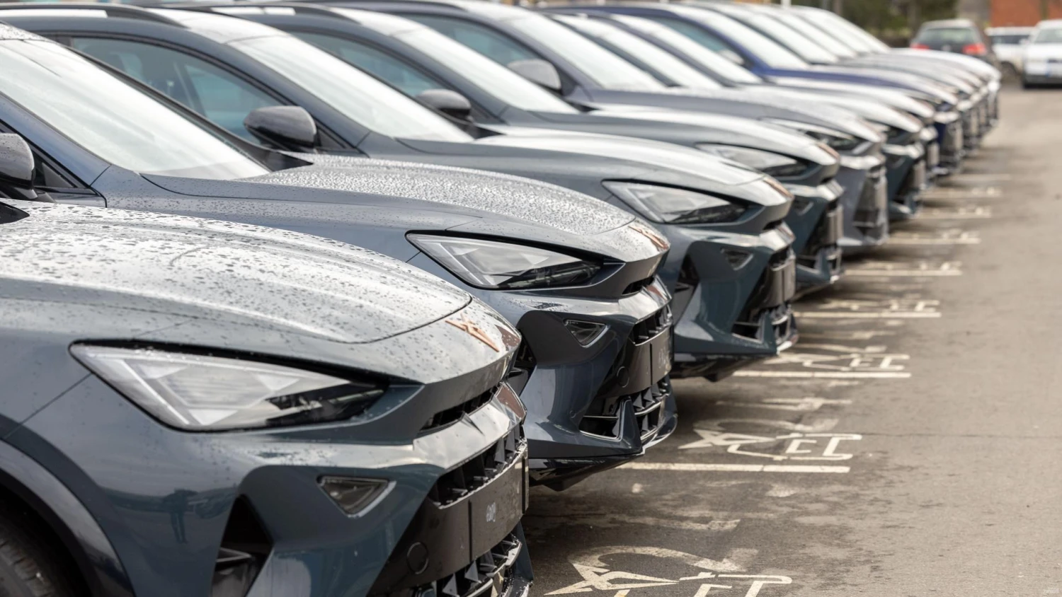 Juditos Grigelytės (VŽ) nuotr.