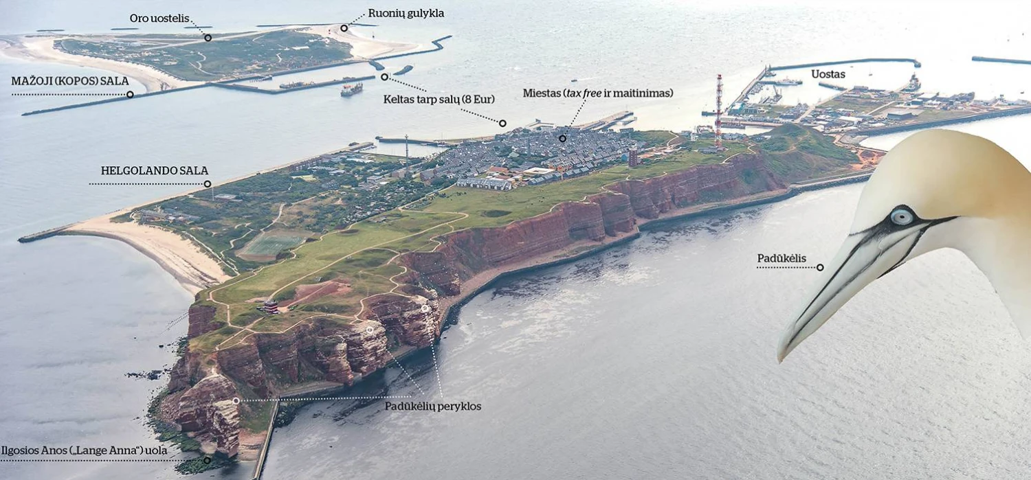 „Shuterstock“ nuotr.