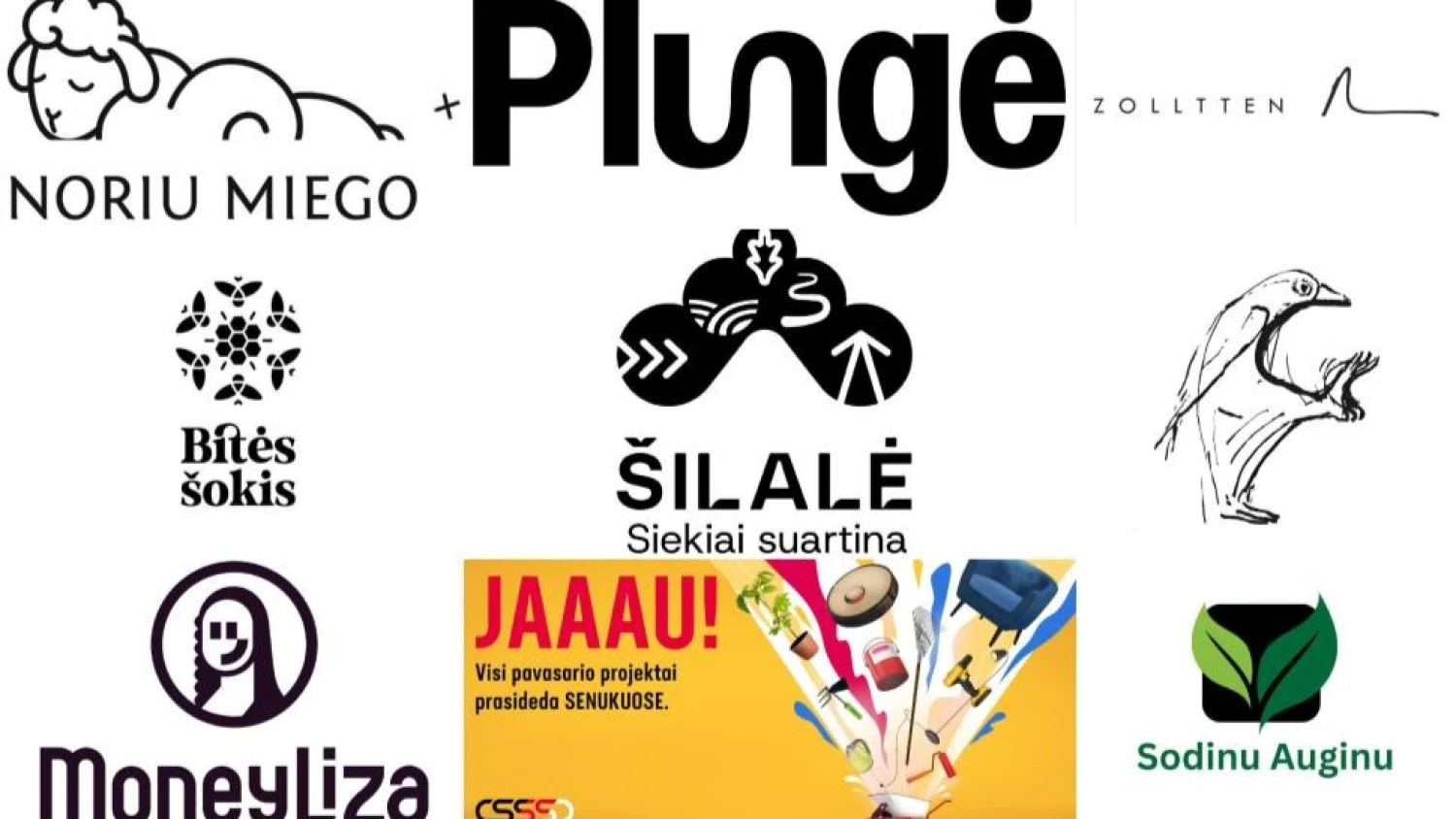 VPB vizualizacijos. VŽ koliažas.