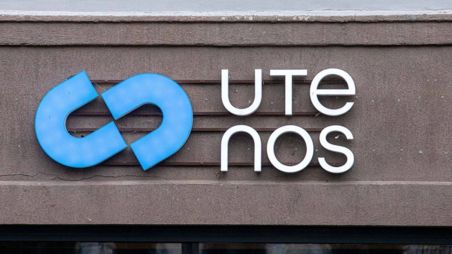 Juditos Grigelytės (VŽ) nuotr.