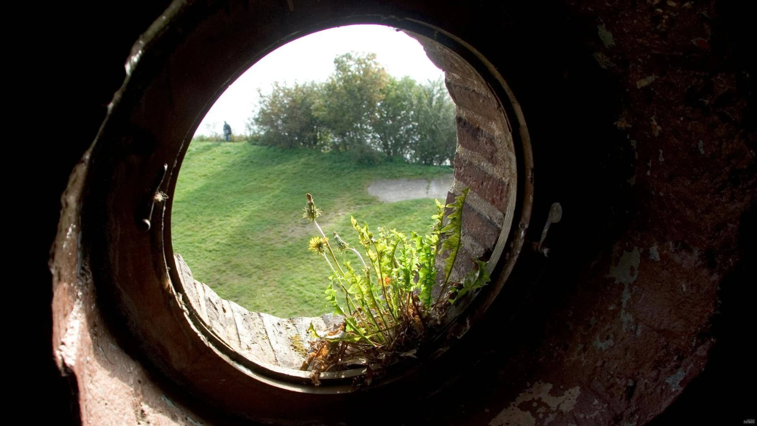 Juditos Grigelytės (VŽ) nuotr.