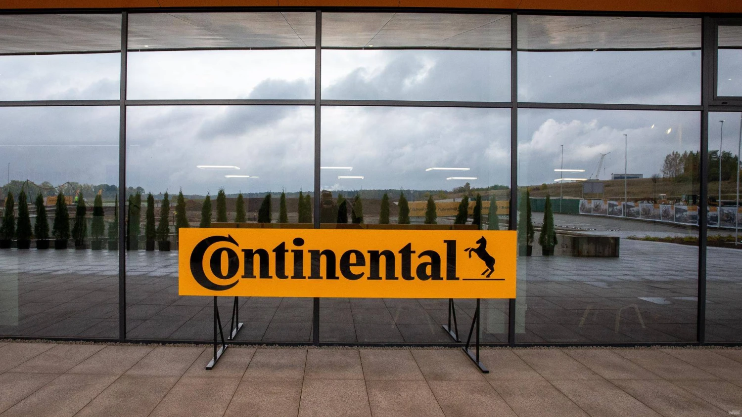 Vladimiro Ivanovo (VŽ) nuotr.