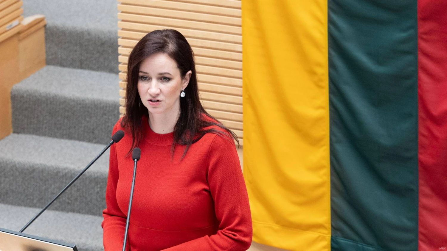 Inga Ruginienė, paskirtoji ministrė pirmininkė. Juditos Grigelytės (VŽ) nuotr.