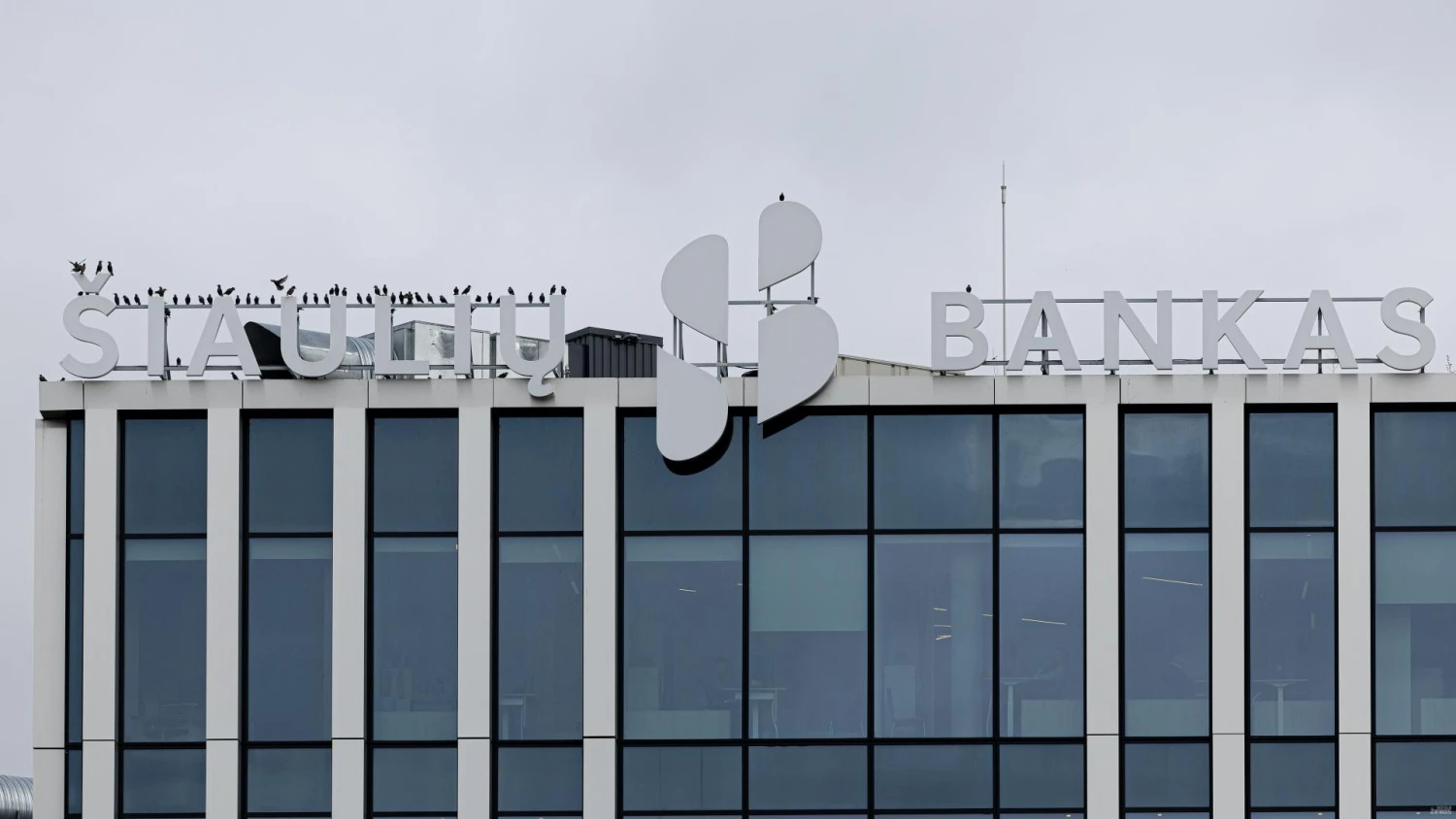 Vladimiro Ivanovo (VŽ) nuotr.