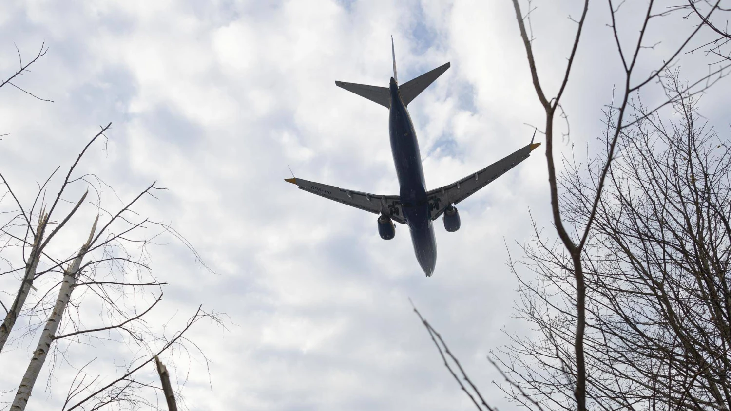 Vladimiro Ivanovo (VŽ) nuotr.