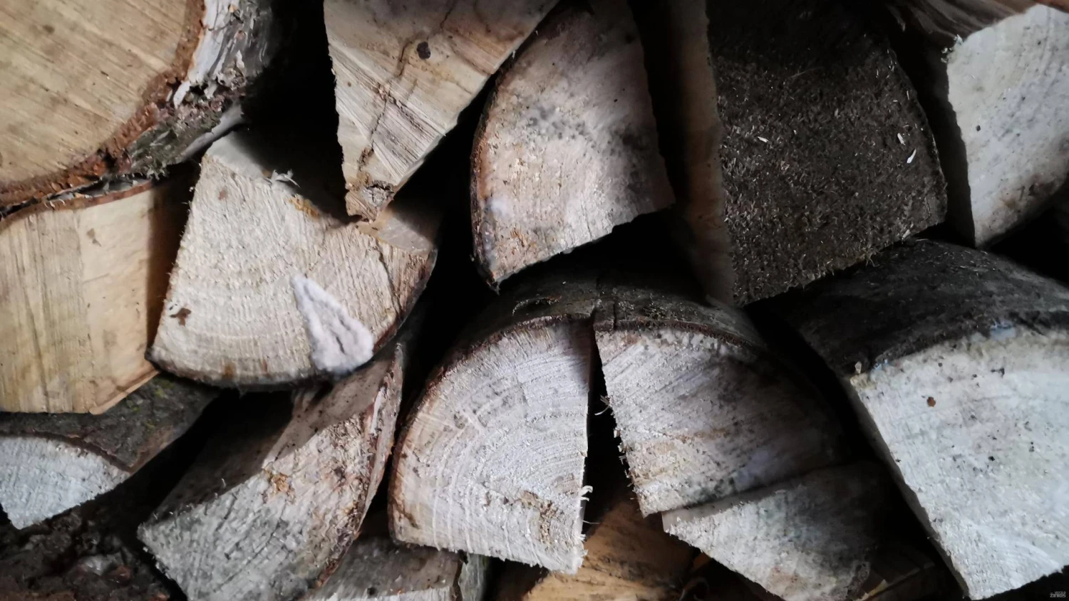 Vladimiro Ivanovo (VŽ) nuotr.