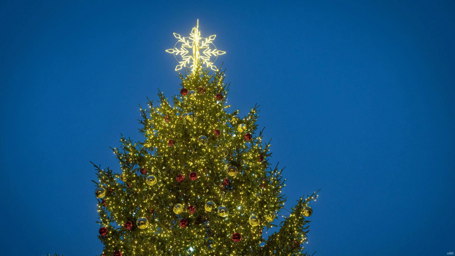 Vladimiro Ivanovo (VŽ) nuotr.