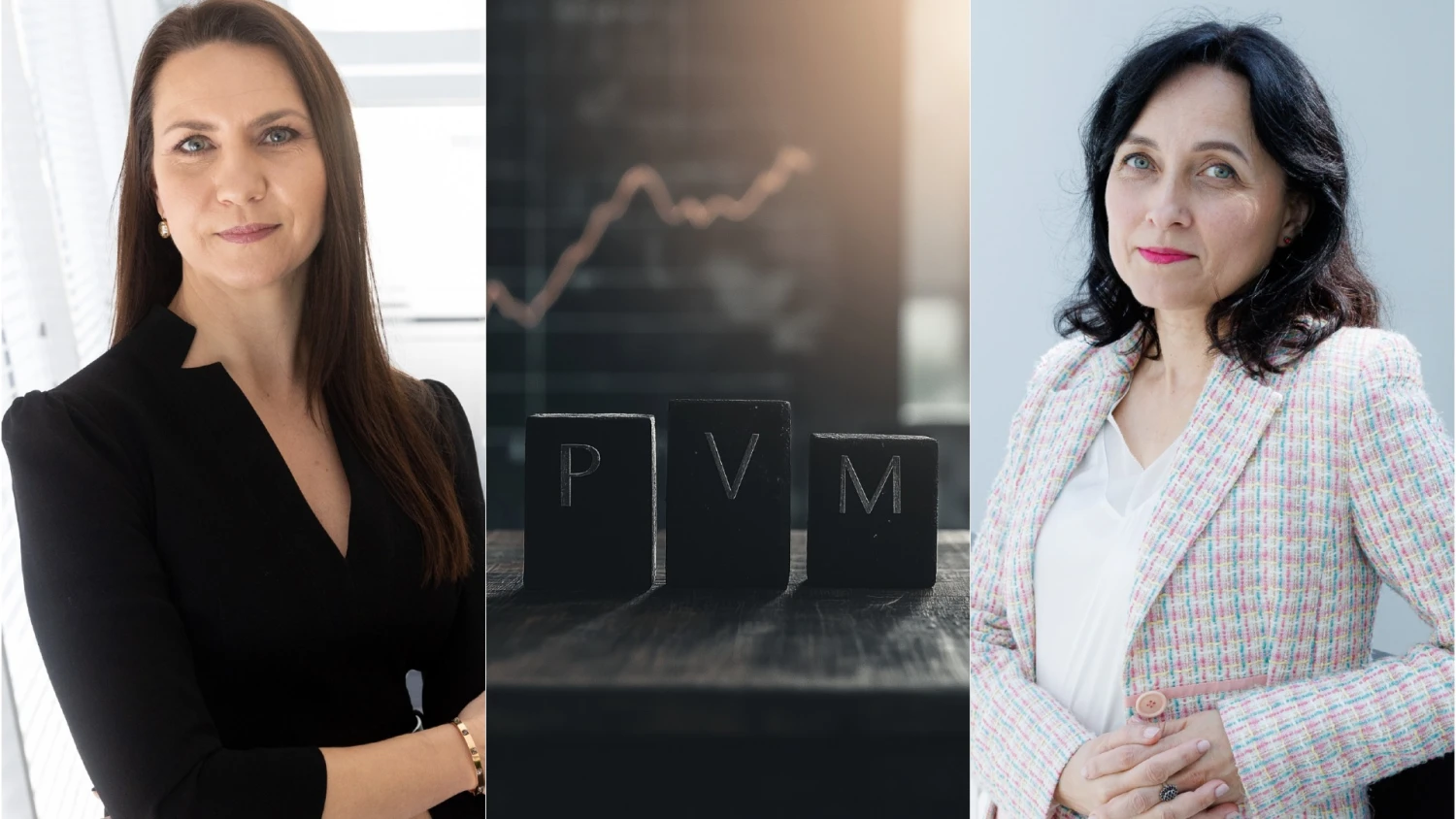 Iš kairės: Rasa Virvilienė, VMI Teisės departamento vadovė, ir Daiva Čibirienė, Lietuvos buhalterių ir auditorių asociacijos prezidentė. VŽ koliažas