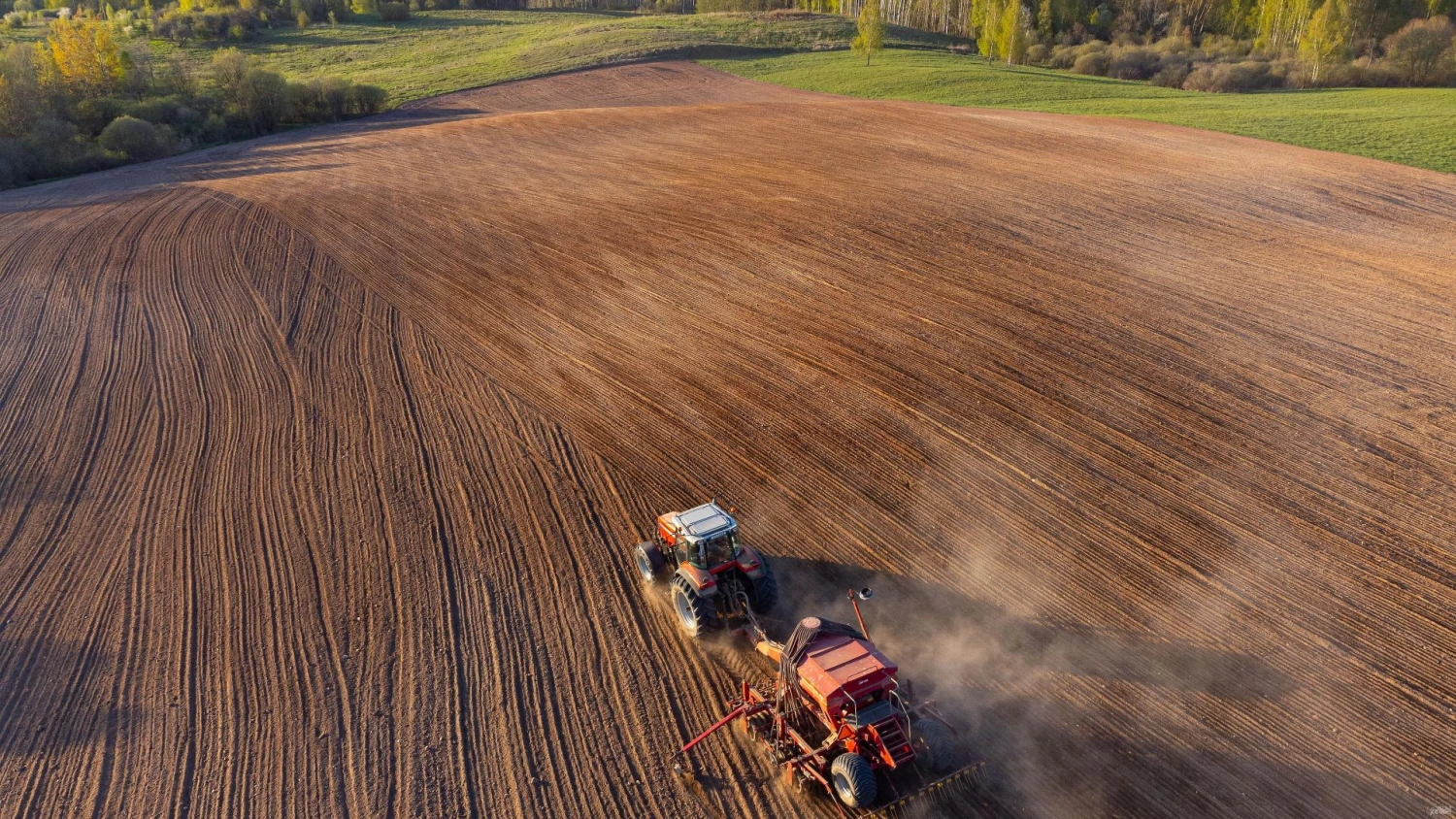 Vladimiro Ivanovo (VŽ) nuotr.