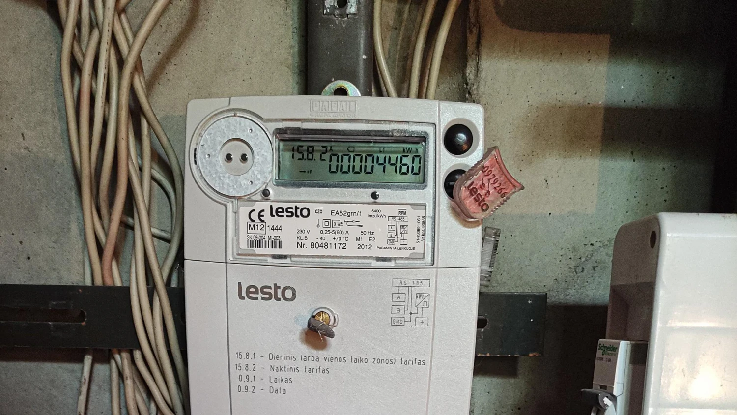 Vladimiro Ivanovo (VŽ) nuotr.