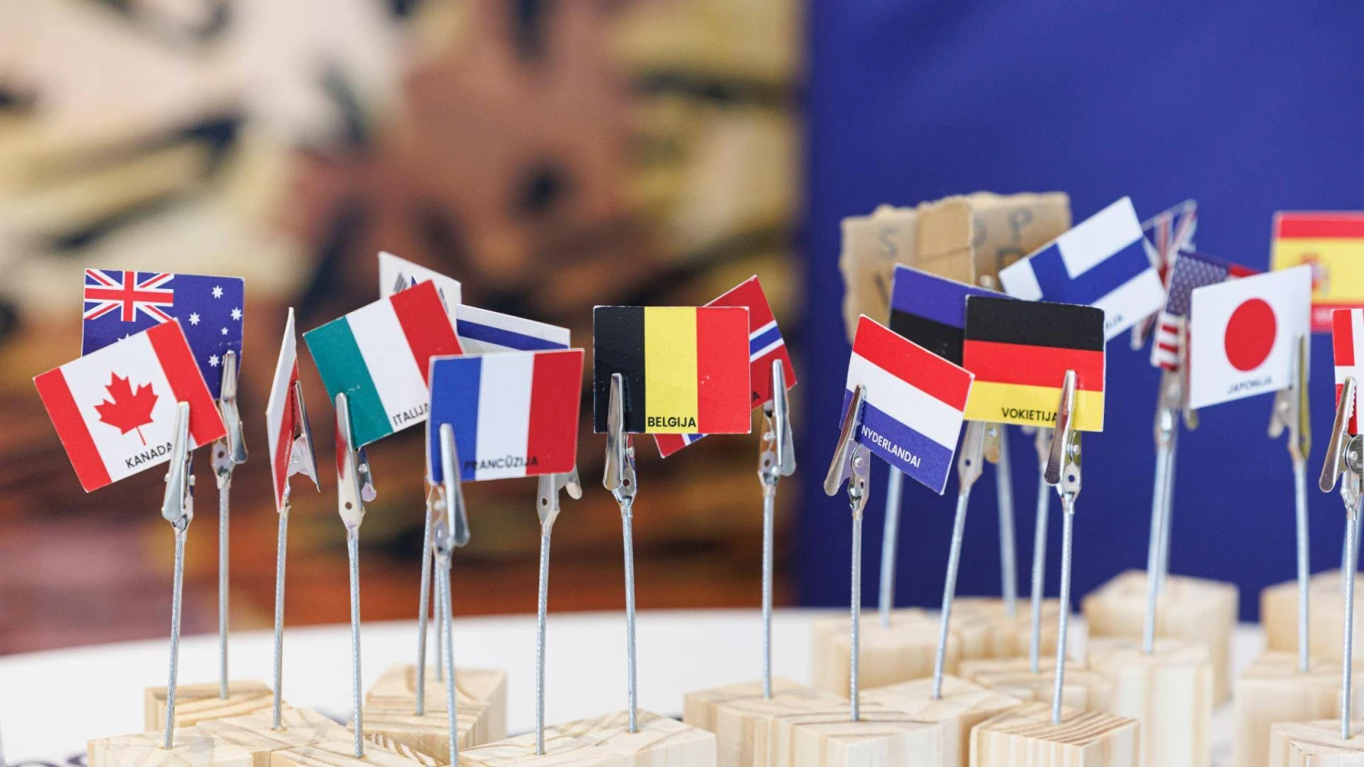 Vladimiro Ivanovo (VŽ) nuotr.