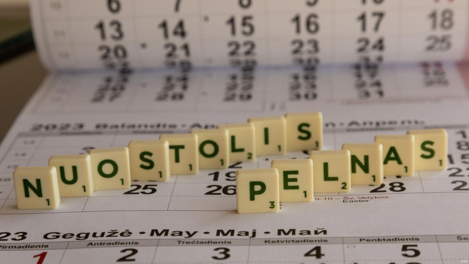 Vladimiro Ivanovo (VŽ) nuotr.