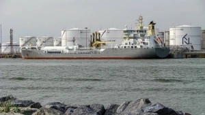 Algimanto Kalvaičio nuotr.