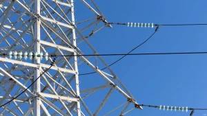 Elektros perdavimo linija. Juditos Grigelytės (VŽ) nuotr.