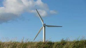 Juditos Grigelytės (VŽ) nuotr.