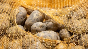 „Maximos“ parduotuvė. Juditos Grigelytės (VŽ) nuotr.