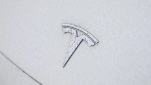 Juditos Grigelytės (VŽ) nuotr.