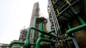 Algimanto Barzdžiaus nuotr.