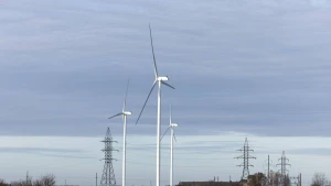 Juditos Grigelytės (VŽ) nuotr.