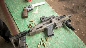 Vladimiro Ivanovo (VŽ) nuotr.