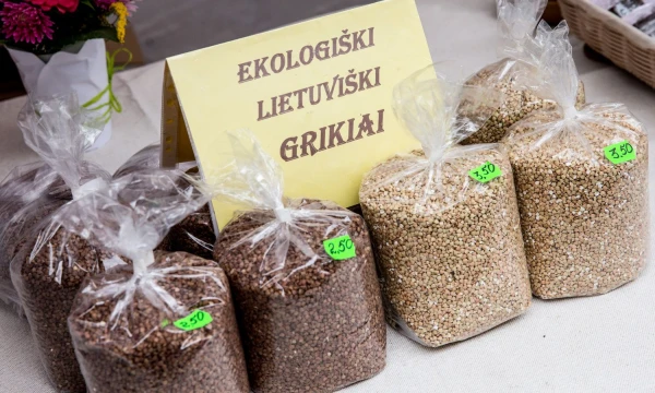 Juditos Grigelytės (VŽ) nuotr.