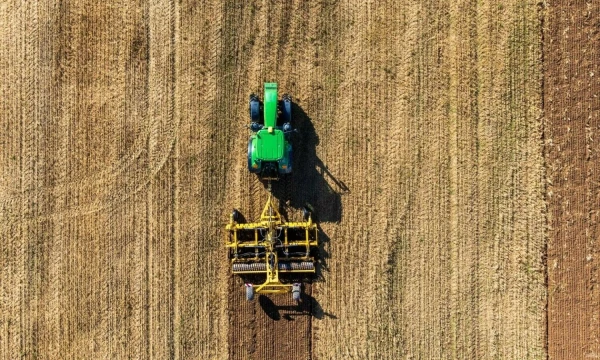 Vladimiro Ivanovo (VŽ) nuotr.