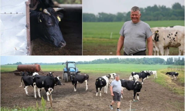 VŽ montažas. Manfredo Skroblio pieno ūkis.  Vladimiro Ivanovo (VŽ) nuotr.
