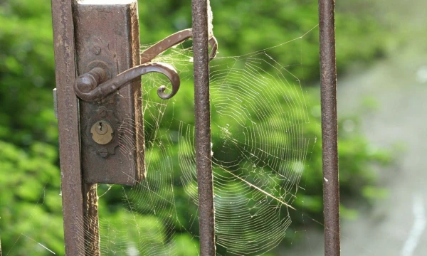 Vladimiro Ivanovo (VŽ) nuotr.